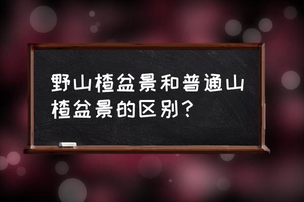 野山楂盆景和普通山楂盆景的区别 野山楂盆景和普通山楂盆景的区别？