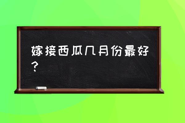 西瓜嫁接苗多少钱一棵 嫁接西瓜几月份最好？