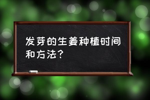 姜发芽过程图片记录 发芽的生姜种植时间和方法？