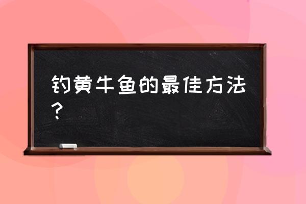 怎么防黄牛 钓黄牛鱼的最佳方法？