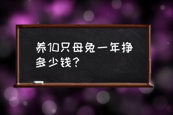 养殖肉兔的成本与利润分析报告 养10只母兔一年挣多少钱？