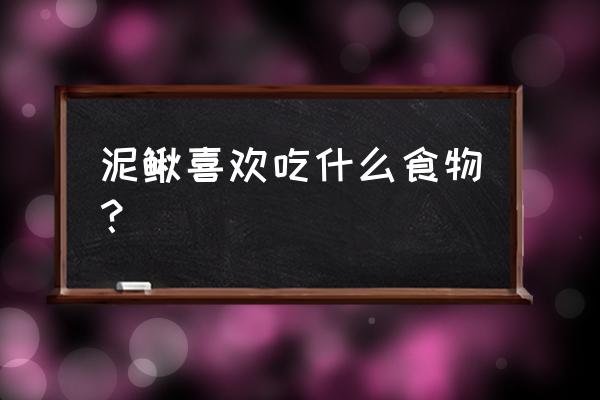 泥鳅吃什么食物长得快 泥鳅喜欢吃什么食物？