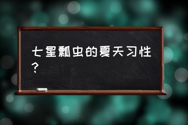 七星瓢虫的味道太难闻了 七星瓢虫的夏天习性？