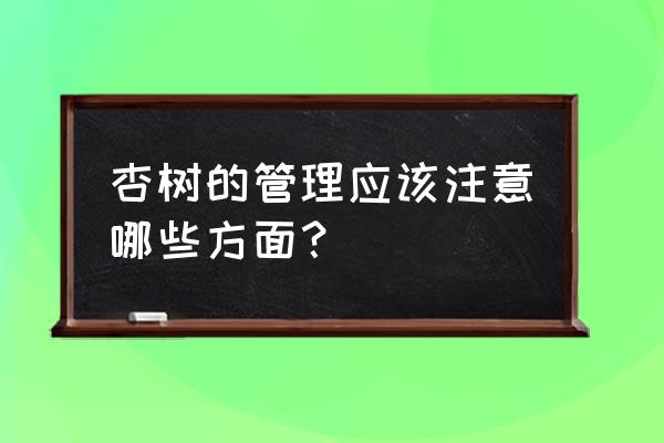 杏树管理方法大全 杏树的管理应该注意哪些方面？