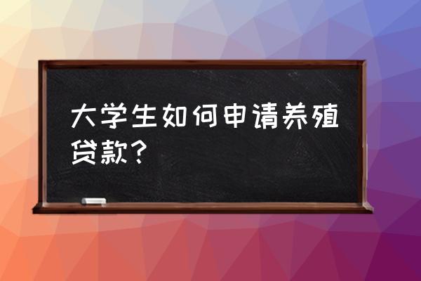 养猪个人贷款去哪里办理 大学生如何申请养殖贷款？