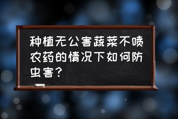 家庭种菜有虫用什么代替农药 种植无公害蔬菜不喷农药的情况下如何防虫害？