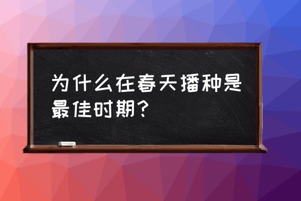 春天可以播种什么种子 为什么在春天播种是最佳时期？