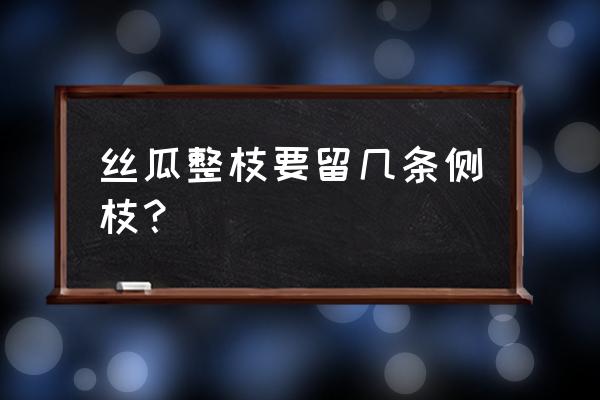 丝瓜整枝最佳方法 丝瓜整枝要留几条侧枝？