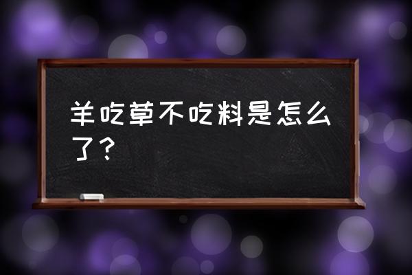 养奶山羊不加饲料可以吗 羊吃草不吃料是怎么了？