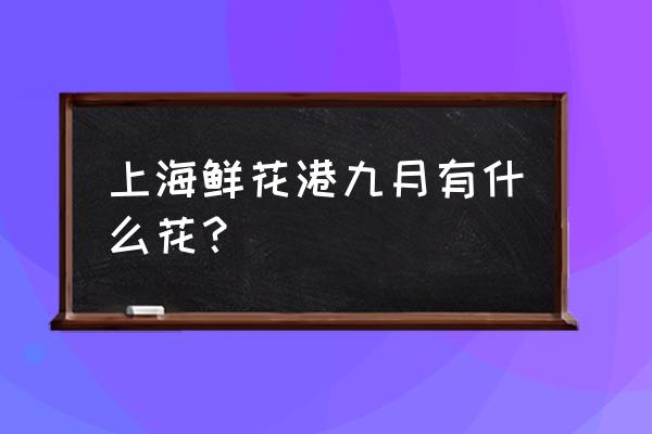 荷花苗哪里最多 上海鲜花港九月有什么花？