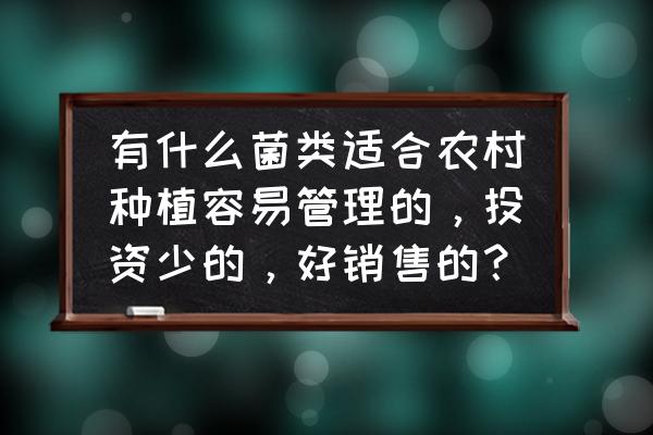 姬菇的种植方法和配方 有什么菌类适合农村种植容易管理的，投资少的，好销售的？