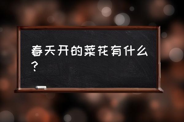 什么花菜适合春天露地栽培 春天开的菜花有什么？