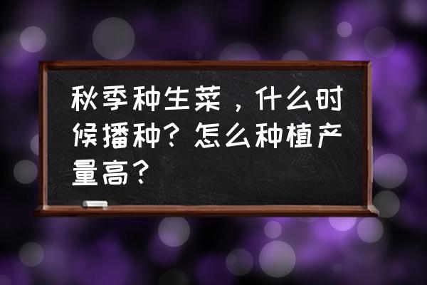 生菜怎么种才能长得又肥又大 秋季种生菜，什么时候播种？怎么种植产量高？