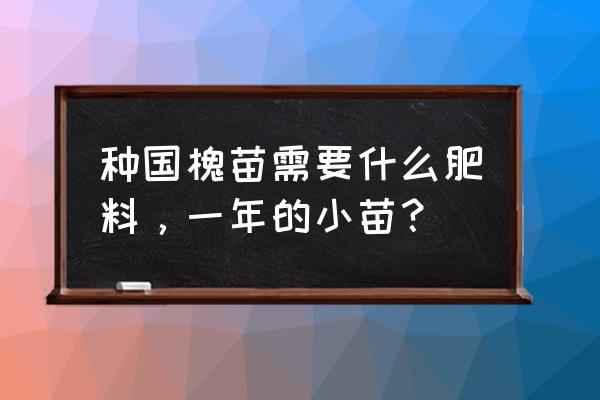 国槐幼苗几月份移栽最好 种国槐苗需要什么肥料，一年的小苗？