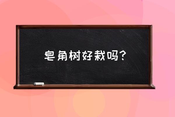 皂角树什么时候种最佳 皂角树好栽吗？