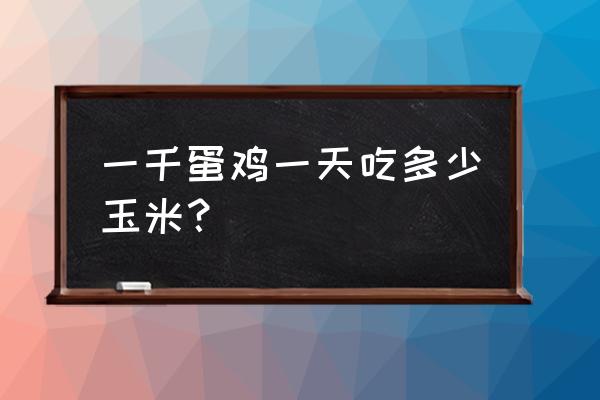 鸡吃玉米粒的正确方法 一千蛋鸡一天吃多少玉米？