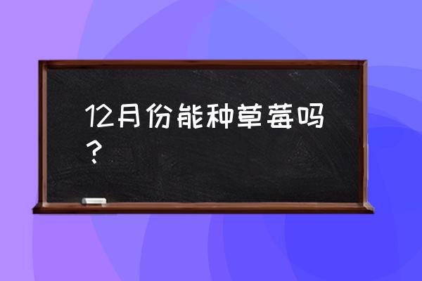 什么时间种植草莓最合适 12月份能种草莓吗？