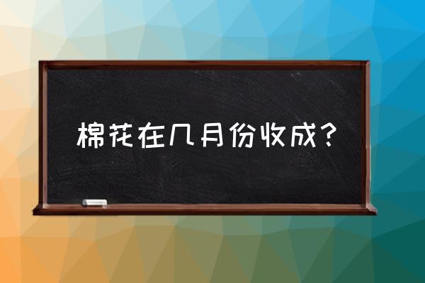 棉花从种子到产棉花全过程 棉花在几月份收成？