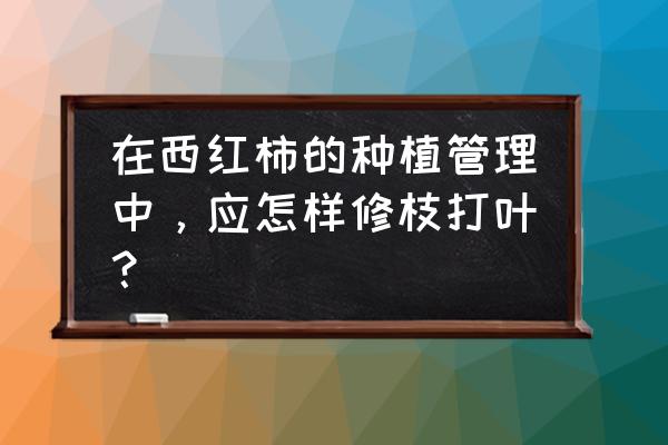 西红柿整枝打顶方法 在西红柿的种植管理中，应怎样修枝打叶？