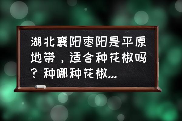 花椒树防冻的时间多久 湖北襄阳枣阳是平原地带，适合种花椒吗？种哪种花椒产量好又防冻？