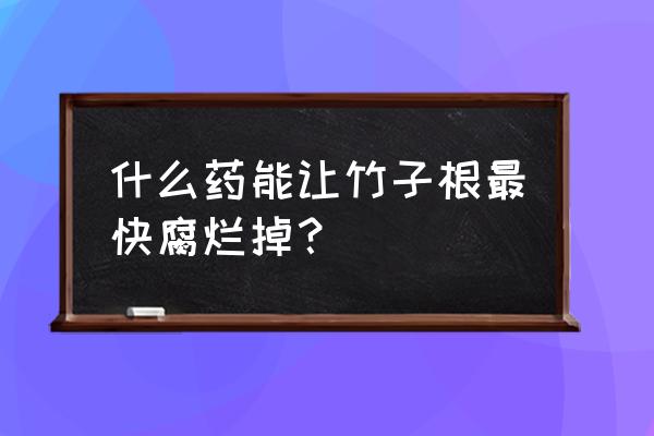 清除芦苇根的办法 什么药能让竹子根最快腐烂掉？