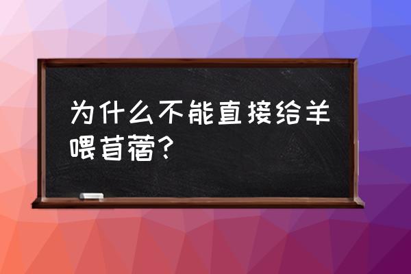 苜蓿青贮好还是干草好 为什么不能直接给羊喂苜蓿？