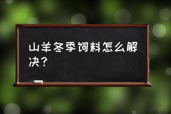 冬天怎么喂羊最好 山羊冬季饲料怎么解决？