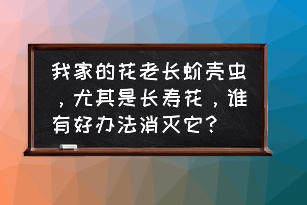 消灭介壳虫的最佳时间和方法 我家的花老长蚧壳虫，尤其是长寿花，谁有好办法消灭它？