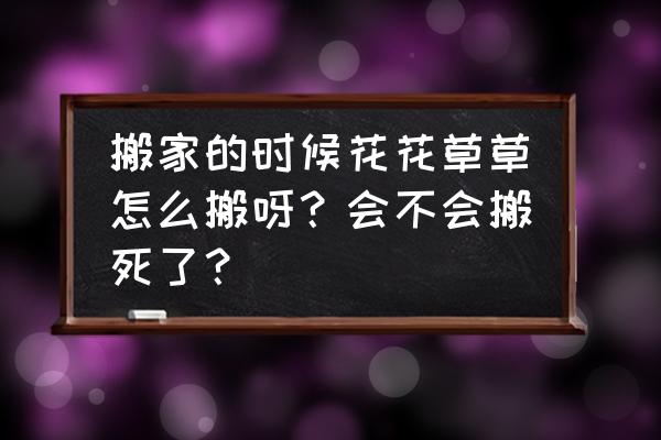 自制一台旋转搂草机 搬家的时候花花草草怎么搬呀？会不会搬死了？