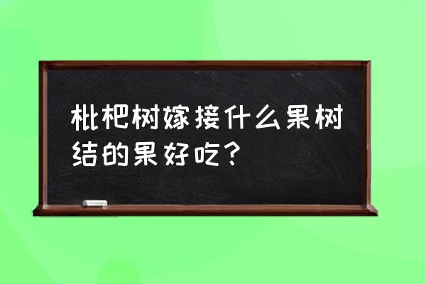 树嫁接什么最好 枇杷树嫁接什么果树结的果好吃？