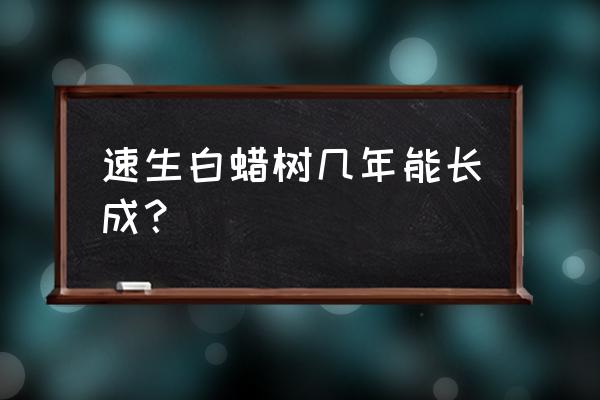 速生白蜡怎么种植 速生白蜡树几年能长成？