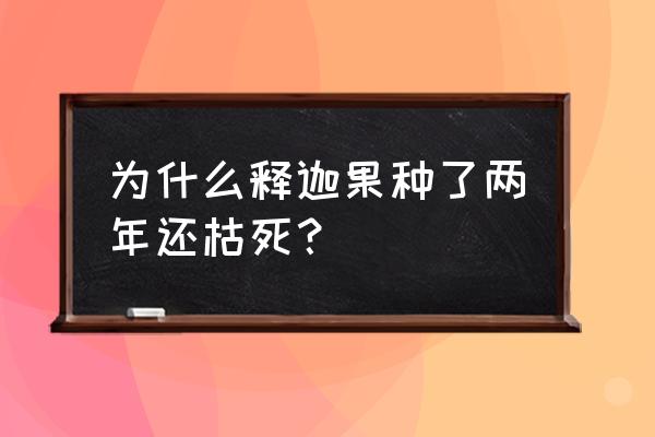 吃释迦果的危害 为什么释迦果种了两年还枯死？