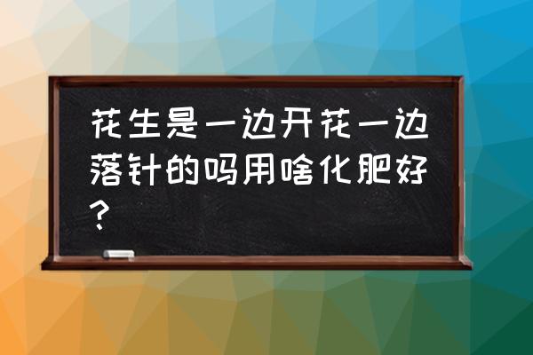 花生开花初期怎样管理 花生是一边开花一边落针的吗用啥化肥好？