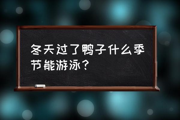 冬泳可以直接从冬天开始吗 冬天过了鸭子什么季节能游泳？