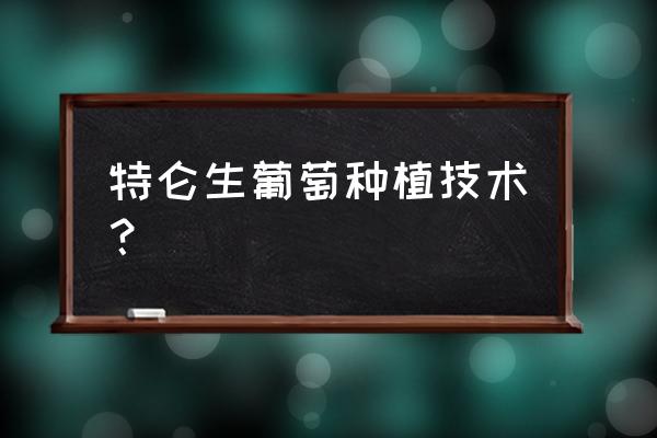 葡萄种子种植技术流程图 特仑生葡萄种植技术？