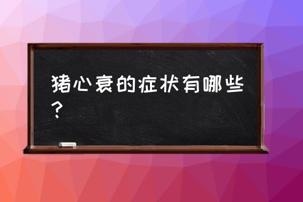 猪得心肌炎是怎么引起的 猪心衰的症状有哪些？