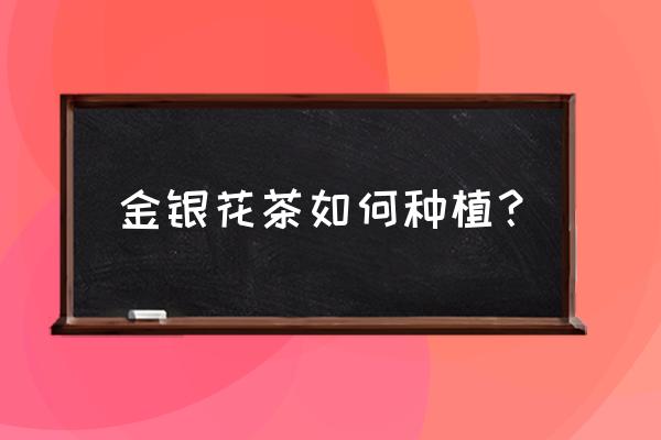 金银花盆栽用什么土养殖最好活 金银花茶如何种植？