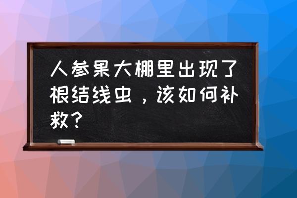 人参病虫害防治用药表 人参果大棚里出现了根结线虫，该如何补救？