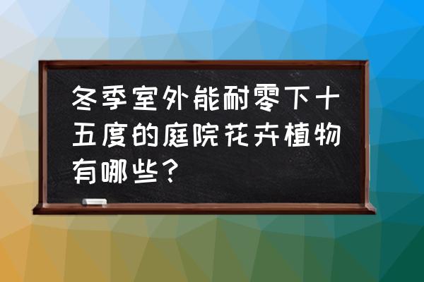 冬天种什么植物长得快 冬季室外能耐零下十五度的庭院花卉植物有哪些？