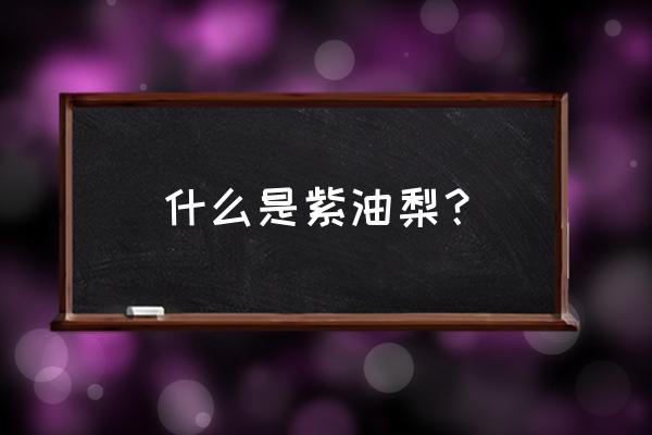 糠梨和油梨哪个更适合把玩 什么是紫油梨？