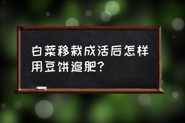 发酵豆饼肥料使用方法 白菜移栽成活后怎样用豆饼追肥？