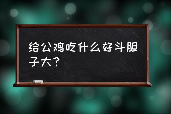 有什么办法能控制公鸡不打架 给公鸡吃什么好斗胆子大？