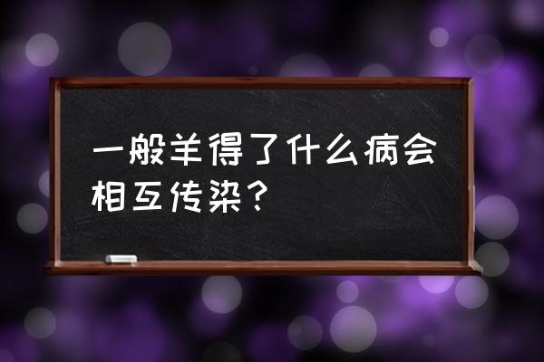 羊身上长痘痘不吃草怎么办 一般羊得了什么病会相互传染？