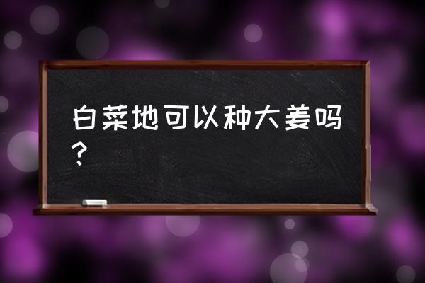 自制粘土大白菜教程 白菜地可以种大姜吗？