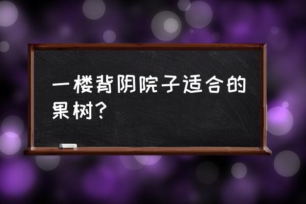 适合农村庭院果树 一楼背阴院子适合的果树？