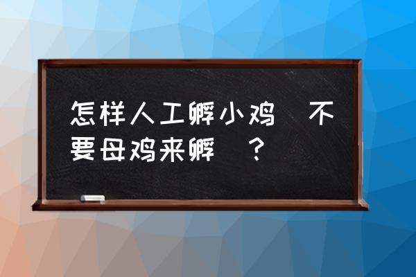 不用任何工具孵化小鸡 怎样人工孵小鸡(不要母鸡来孵)？