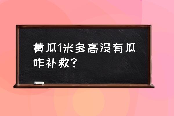 黄瓜1米多高没有瓜咋补救 黄瓜1米多高没有瓜咋补救？