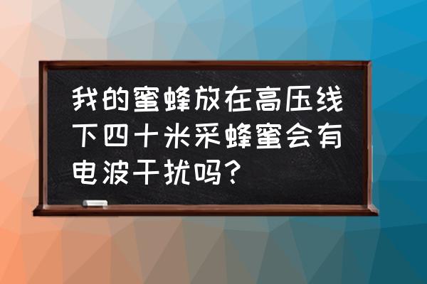 蜜蜂刚采的蜂蜜放在身体哪个部位 我的蜜蜂放在高压线下四十米采蜂蜜会有电波干扰吗？