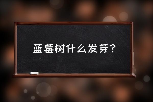 蓝莓籽能直接种到土里吗 蓝莓树什么发芽？