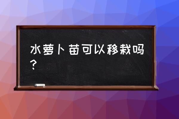 萝卜出苗后需要培土吗 水萝卜苗可以移栽吗？